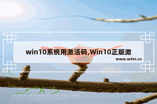 win10系统用激活码,Win10正版激活码