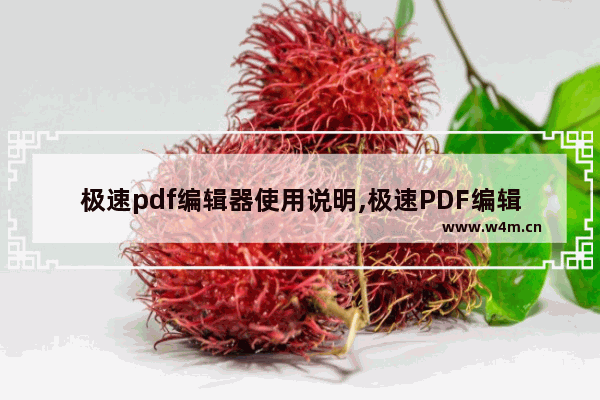 极速pdf编辑器使用说明,极速PDF编辑