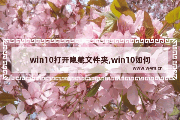 win10打开隐藏文件夹,win10如何打开隐藏文件夹