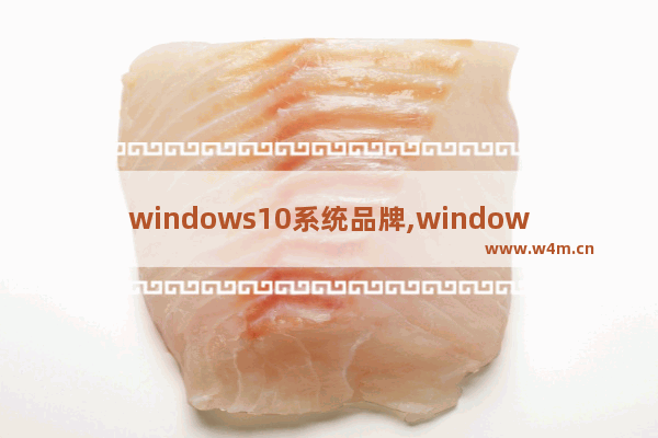 windows10系统品牌,windows是什么品牌的电脑-