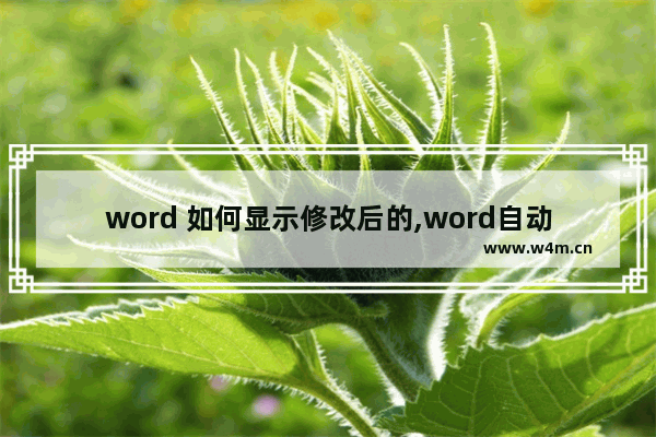 word 如何显示修改后的,word自动显示修订