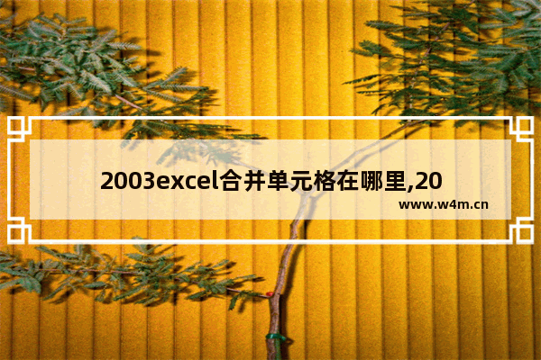 2003excel合并单元格在哪里,2003版本的excel表格怎么合并