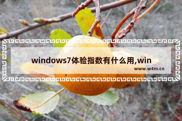 windows7体验指数有什么用,win7体验指数