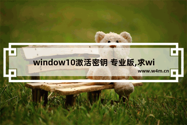 window10激活密钥 专业版,求windows10专业版激活密钥