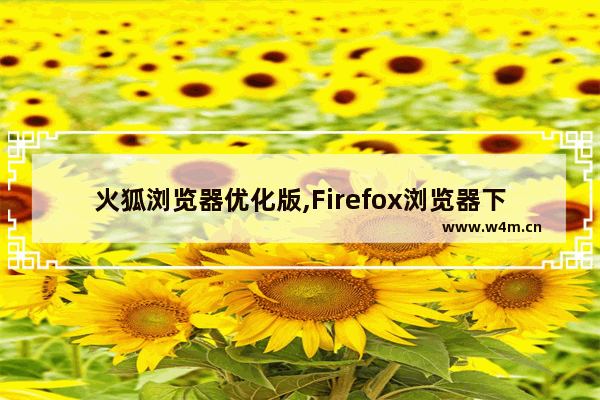 火狐浏览器优化版,Firefox浏览器下载