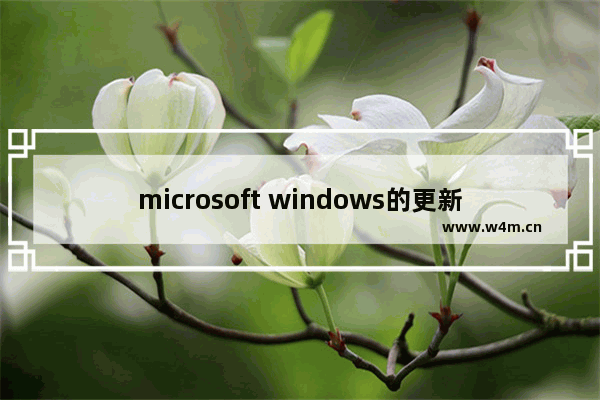 microsoft windows的更新,微软宣布停止更新windows10