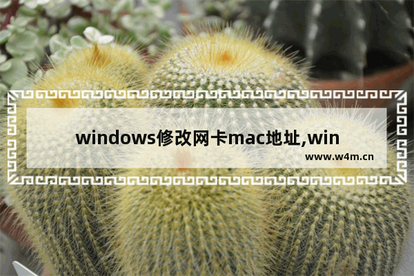 windows修改网卡mac地址,win10电脑无线网卡改mac地址_1