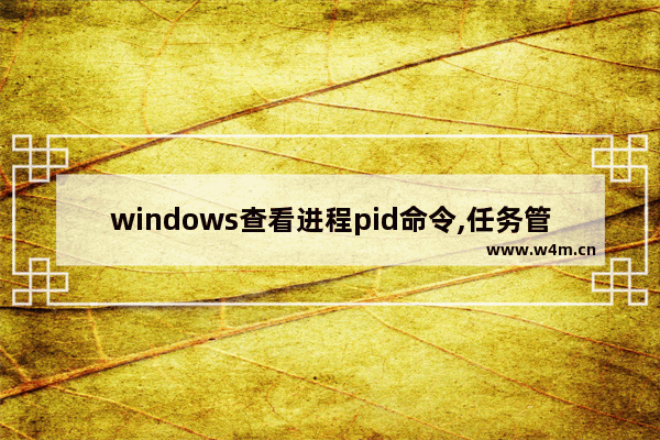 windows查看进程pid命令,任务管理器如何查看pid