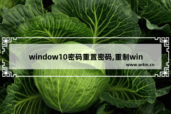 window10密码重置密码,重制win10密码