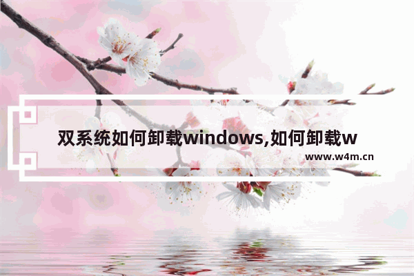 双系统如何卸载windows,如何卸载win10系统重装win7