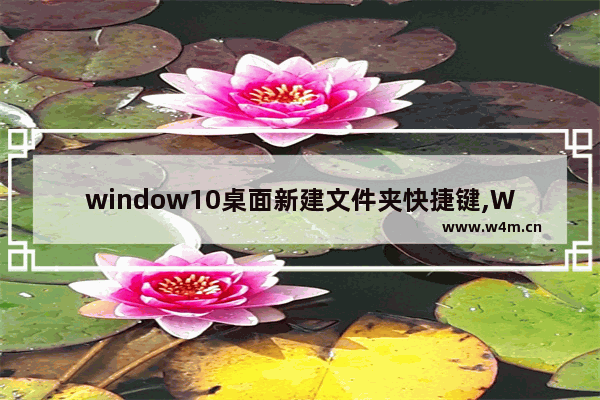 window10桌面新建文件夹快捷键,Windows新建文件夹快捷键