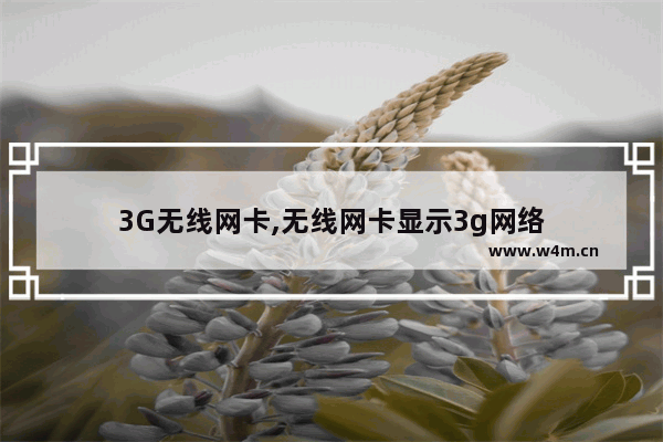 3G无线网卡,无线网卡显示3g网络