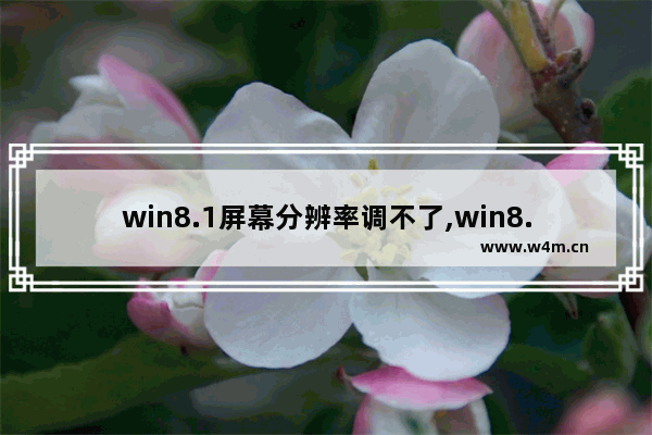 win8.1屏幕分辨率调不了,win8.1分辨率无法调整