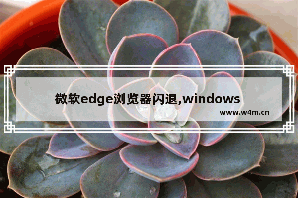 微软edge浏览器闪退,windows edge闪退_1