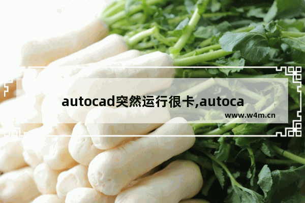 autocad突然运行很卡,autocad很卡怎么办