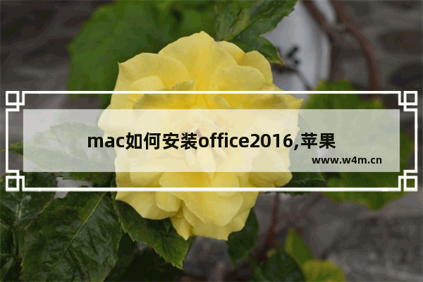 mac如何安装office2016,苹果电脑office2016下载安装教程