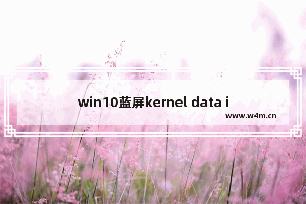 win10蓝屏kernel data inpage error,