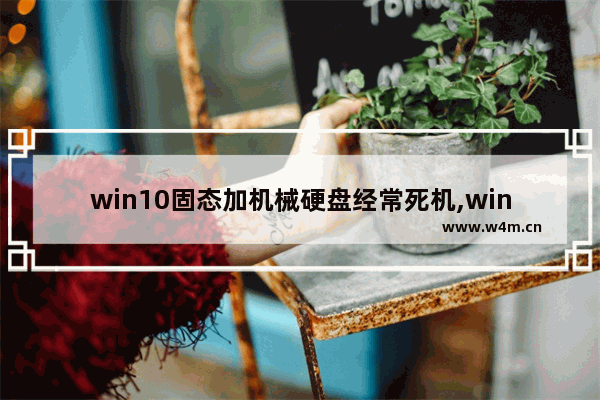 win10固态加机械硬盘经常死机,win10固态死机