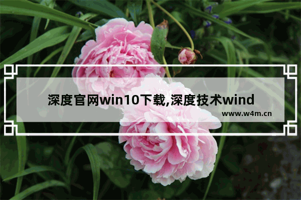 深度官网win10下载,深度技术windows10