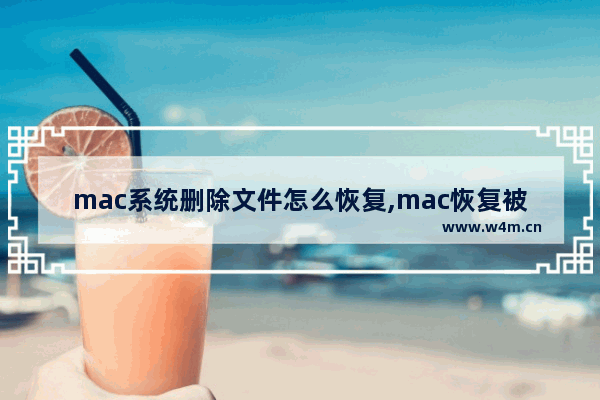 mac系统删除文件怎么恢复,mac恢复被删除的文件