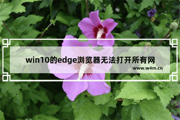 win10的edge浏览器无法打开所有网页,windows10 microsoft edge无法打开网页