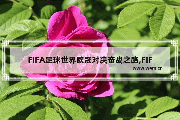 FIFA足球世界欧冠对决奋战之路,FIFA足球世界欧洲杯活动