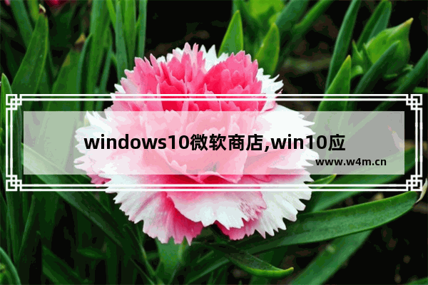 windows10微软商店,win10应用商店软件格式