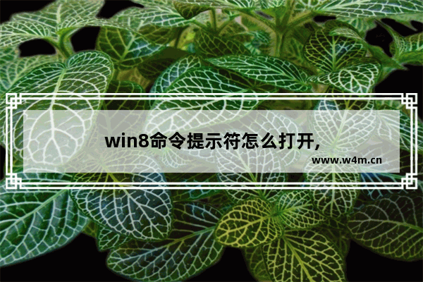 win8命令提示符怎么打开,