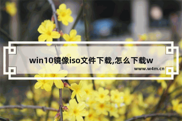 win10镜像iso文件下载,怎么下载windows10镜像iso文件