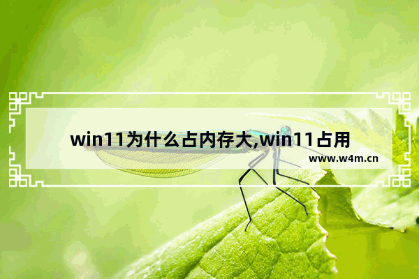 win11为什么占内存大,win11占用内存比win10少吗