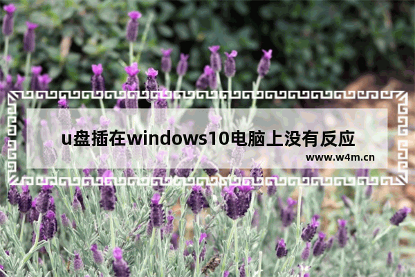 u盘插在windows10电脑上没有反应,win10系统插u盘没反应如何处理