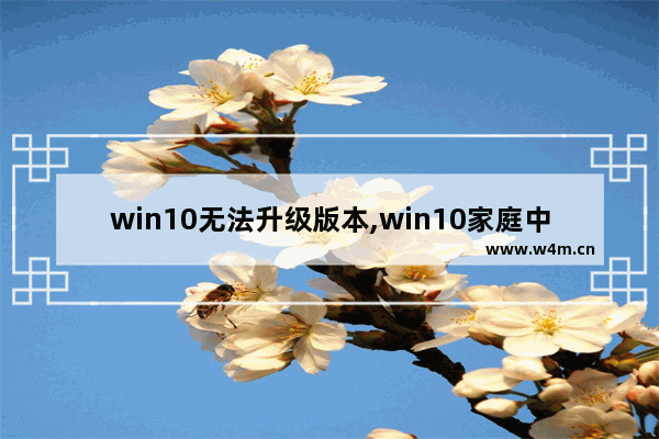 win10无法升级版本,win10家庭中文版升级专业版失败