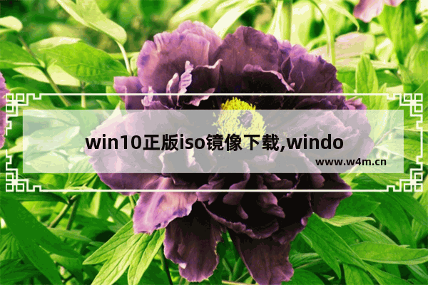 win10正版iso镜像下载,windows10正式版官方原版镜像iso下载地址_1