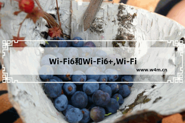 Wi-Fi6和Wi-Fi6+,Wi-Fi6特点