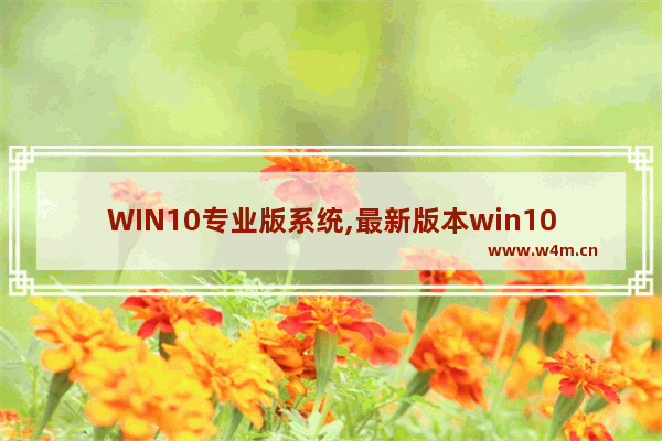 WIN10专业版系统,最新版本win10系统_1