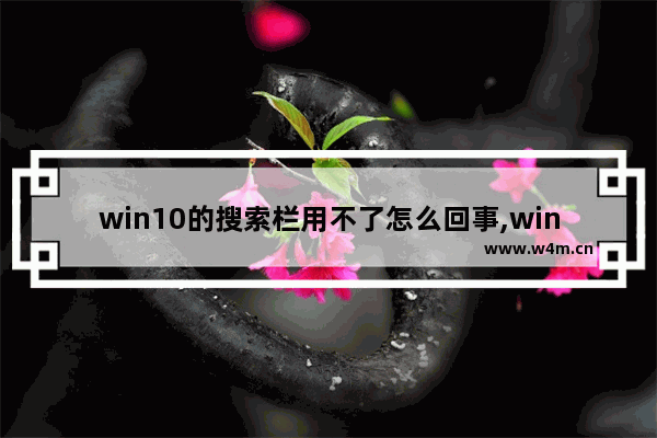 win10的搜索栏用不了怎么回事,windows10搜索栏不能用