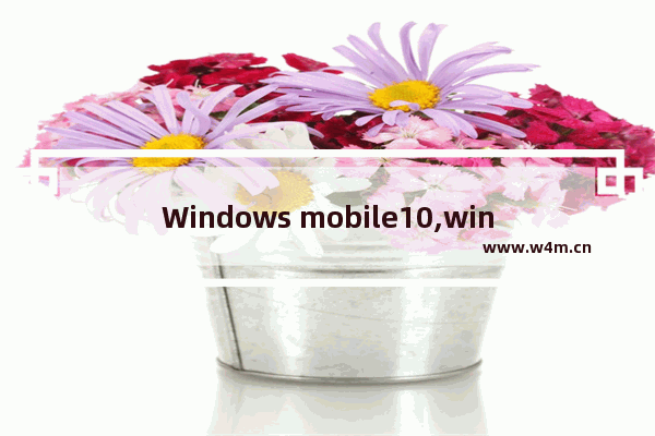 Windows mobile10,windows mobile设备中心 win10