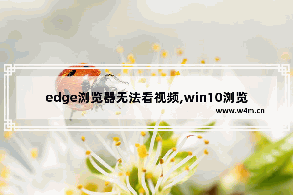 edge浏览器无法看视频,win10浏览器视频看不了