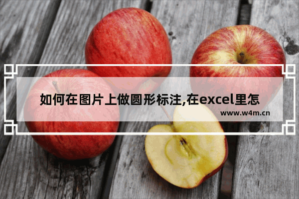 如何在图片上做圆形标注,在excel里怎样画圆及标注