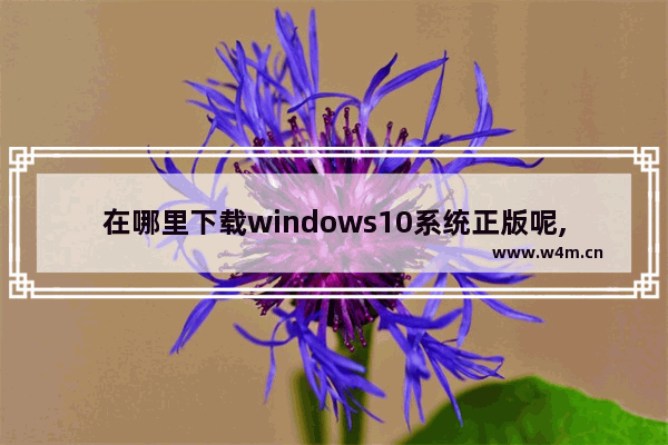 在哪里下载windows10系统正版呢,Win10系统哪里下载