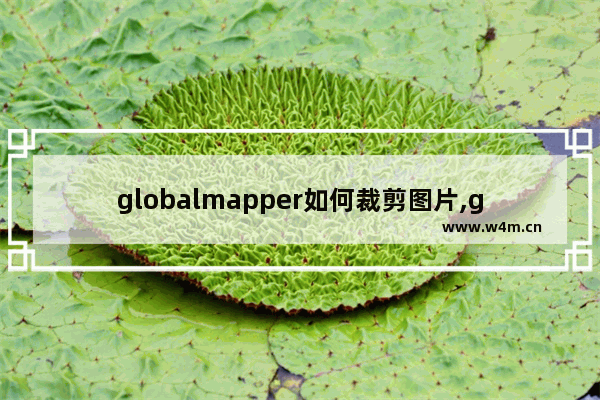 globalmapper如何裁剪图片,global mapper批量裁剪影像