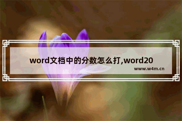 word文档中的分数怎么打,word2010分数怎么打