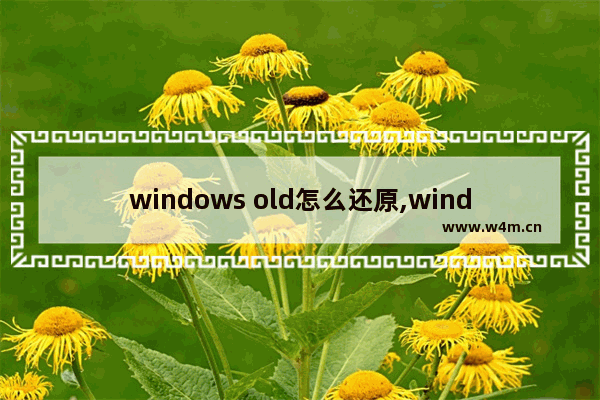 windows old怎么还原,windows.old还原win10