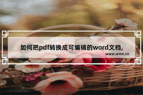 如何把pdf转换成可编辑的word文档,如何把pdf转换成可编辑的word