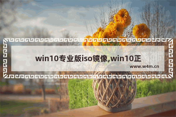 win10专业版iso镜像,win10正版iso镜像下载