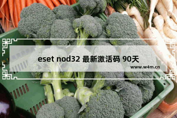 eset nod32 最新激活码 90天,nod32用户名及密码