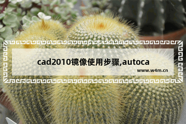 cad2010镜像使用步骤,autocad怎么使用镜像功能