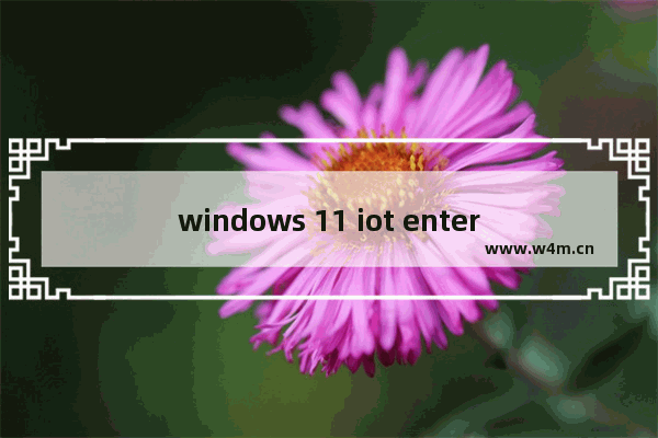 windows 11 iot enterprise,