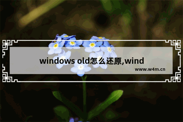 windows old怎么还原,windows.old还原win10