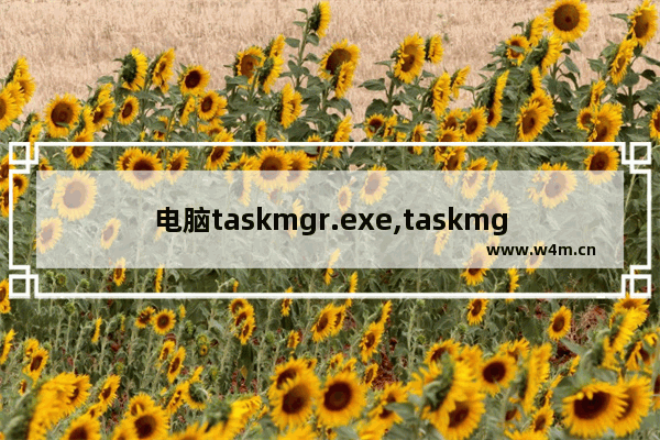 电脑taskmgr.exe,taskmgr.exe是什么程序